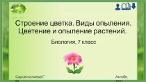 Презентация по теме Строение цветка. Виды опыления. Цветение и опыление растений