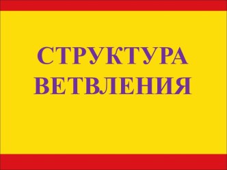 Программирование Структура ветвления