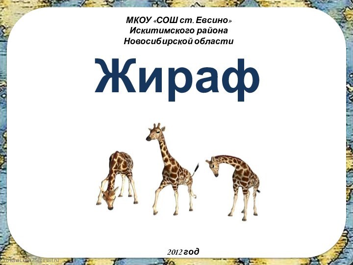 ЖирафПоэтапное рисованиеМКОУ «СОШ ст. Евсино»Искитимского районаНовосибирской областиАвтор - составитель:учитель начальных классовФокина Лидия Петровна2012 год