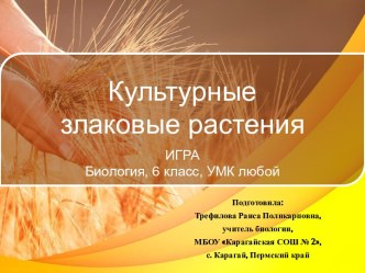 Презентация Игра Культурные злаковые растения