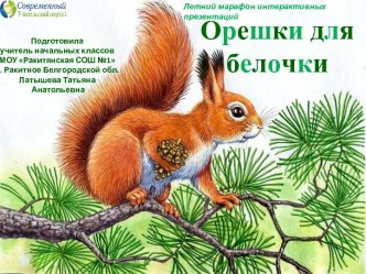 Интерактивное пособие Орешки для белочки