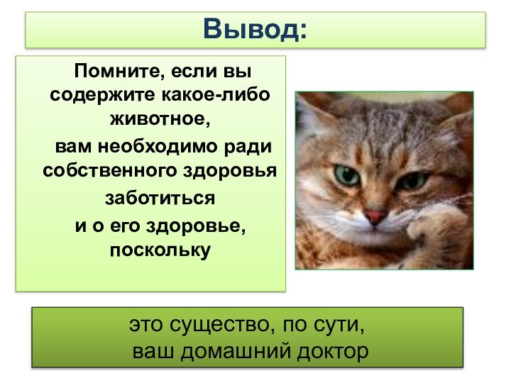 Вывод:  Помните, если вы содержите какое-либо животное, вам необходимо ради