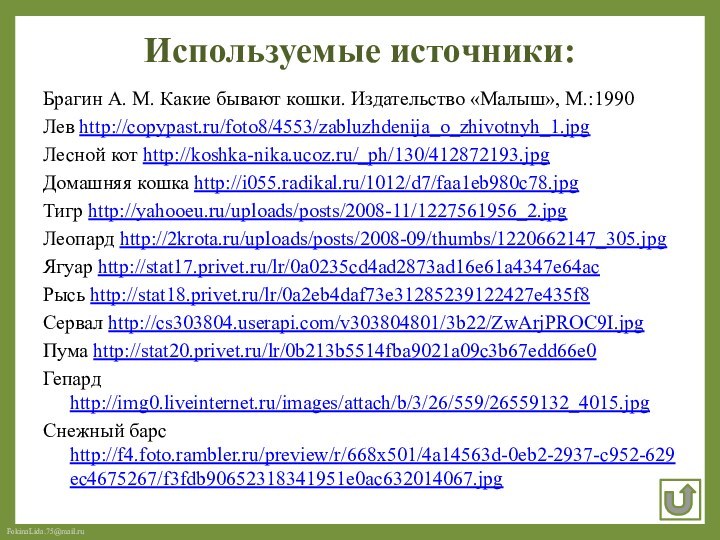 Используемые источники:Брагин А. М. Какие бывают кошки. Издательство «Малыш», М.:1990Лев http://copypast.ru/foto8/4553/zabluzhdenija_o_zhivotnyh_1.jpgЛесной кот