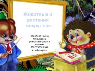 Урок 2 Животные и растения вокруг нас