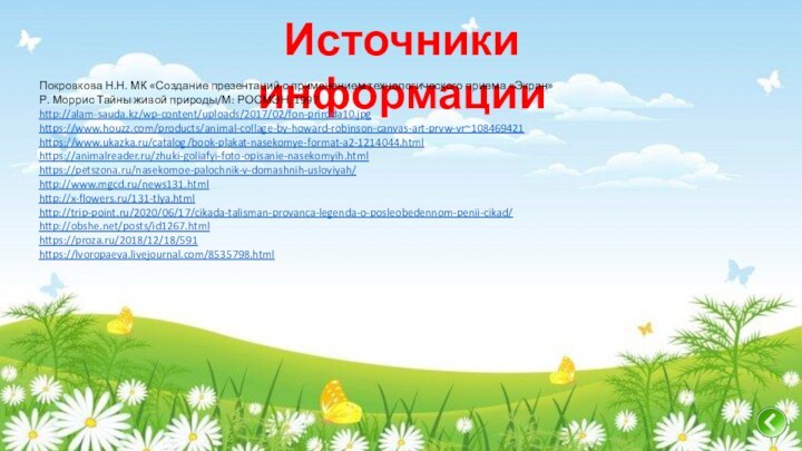 Источники информацииПокровкова Н.Н. МК «Создание презентаций с применением технологического приема «Экран»Р. Моррис