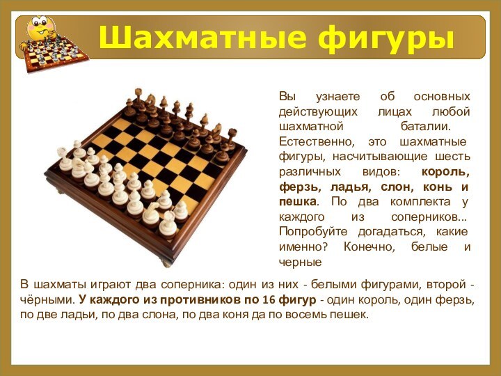 Шахматные фигурыВы узнаете об основных действующих лицах любой шахматной