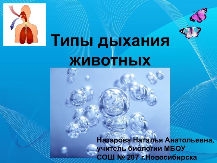 Типы дыхания животных Назарова Наталья Анатольевна, учитель биологии МБОУ СОШ № 207 г.Новосибирска