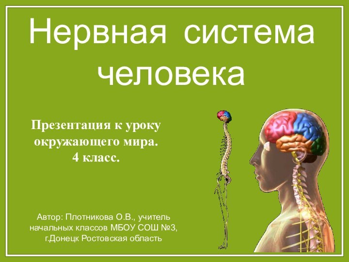 Презентация к уроку окружающего мира. 4 класс. Нервная система человекаАвтор: Плотникова О.В.,