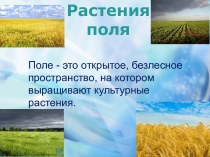 Растениеводство Пермского края