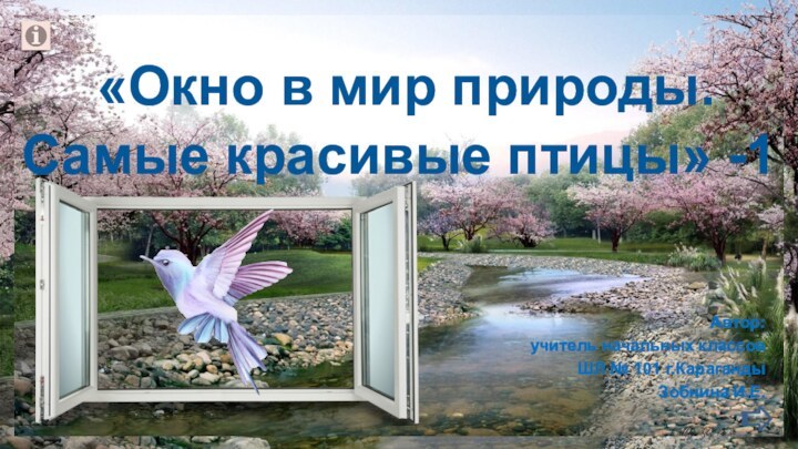 Автор: учитель начальных классовШЛ № 101 г.КарагандыЗобнина И.Е. «Окно в мир природы.Самые красивые птицы» -1