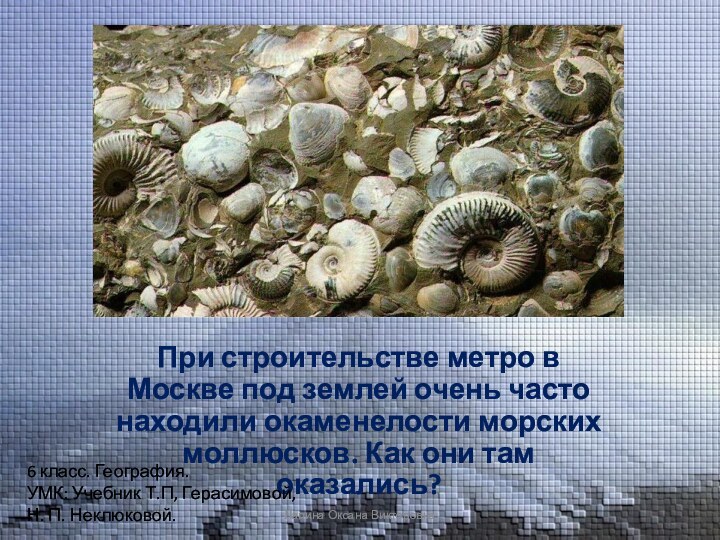 При строительстве метро в Москве под землей очень часто находили окаменелости морских