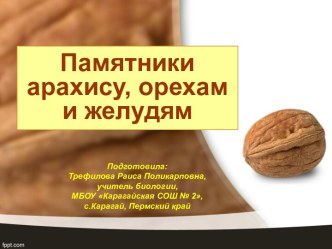 Презентация Памятники арахису, орехам и желудям