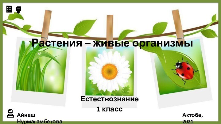 Растения – живые организмыЕстествознание 1 классАйнаш НурмагамбетоваАктобе, 2021