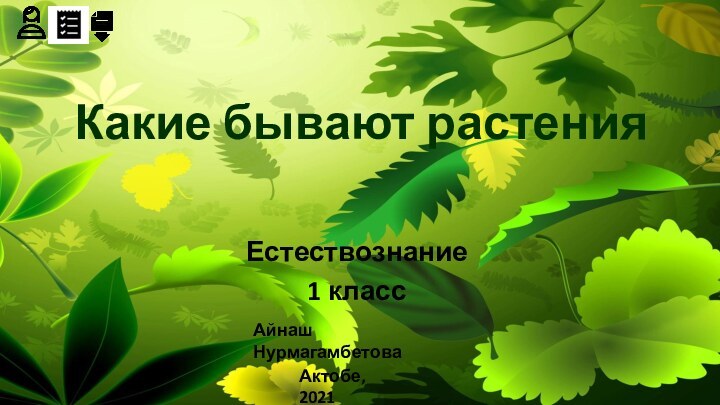 Какие бывают растенияЕстествознание 1 классАйнаш НурмагамбетоваАктобе, 2021