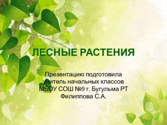 Лесные растения