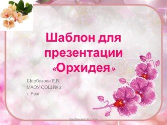 Шаблоны для создания презентаций Орхидея