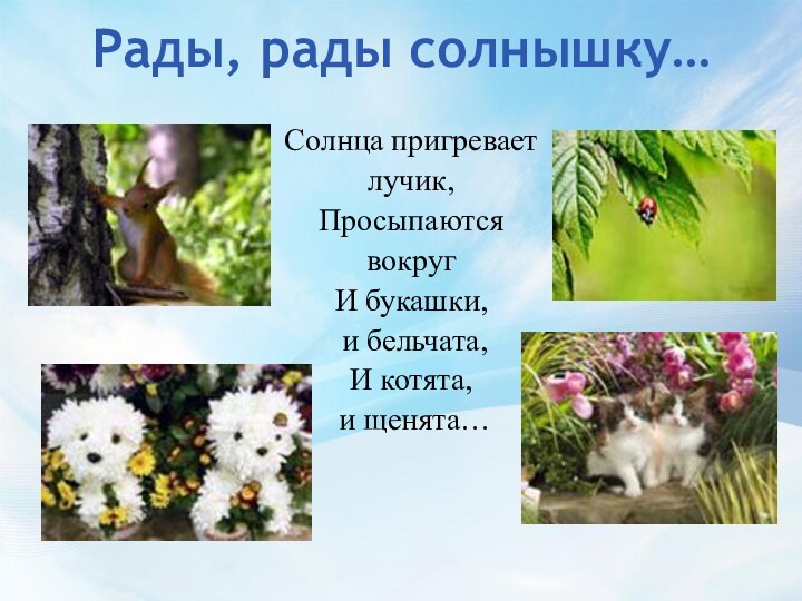 Рады, рады солнышку…Солнца пригревает лучик,Просыпаются вокругИ букашки, и бельчата,И котята, и щенята…