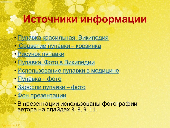 Источники информацииПупавка красильная. Википедия Соцветие пупавки – корзинкаРисунок пупавкиПупавка. Фото в ВикипедииИспользование