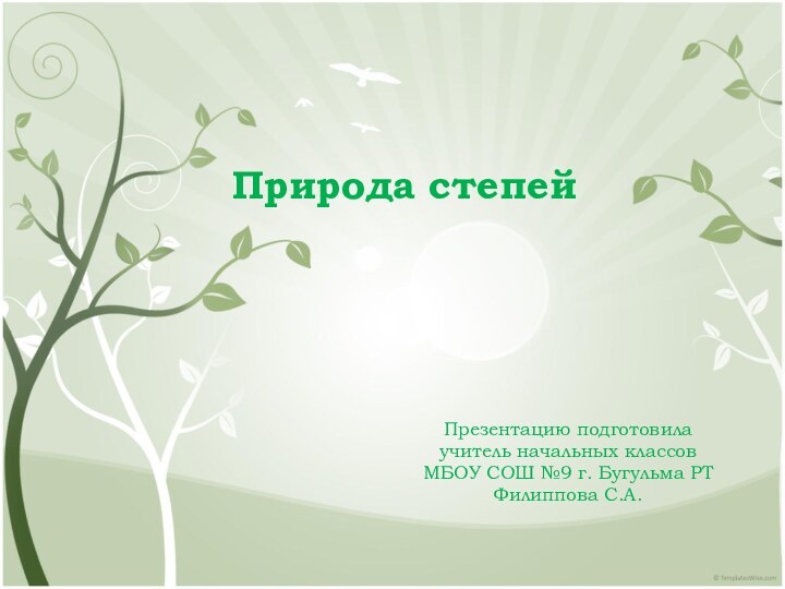 Природа степейПрезентацию подготовилаучитель начальных классовМБОУ СОШ №9 г. Бугульма РТФилиппова С.А.