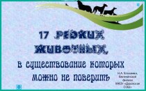 Презентация 17 редких животных, в существование которых можно не поверить