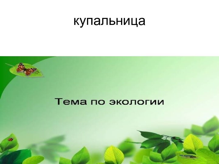 купальница