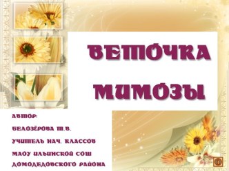 Веточка мимозы