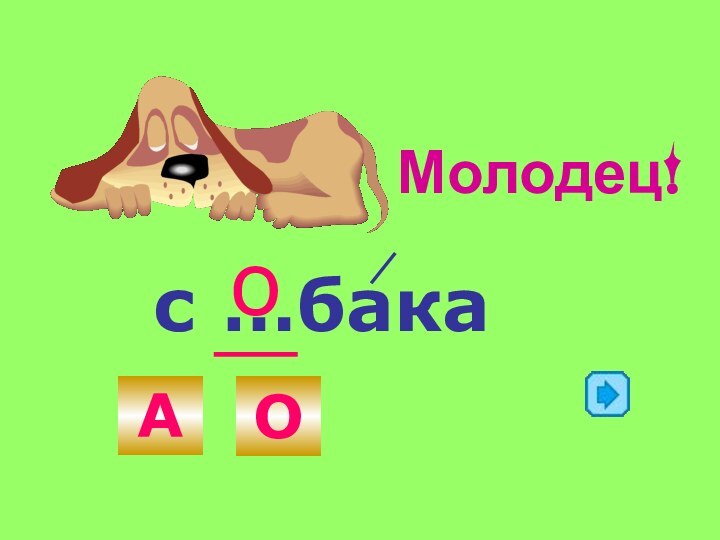 с …бакаАОоМолодец!