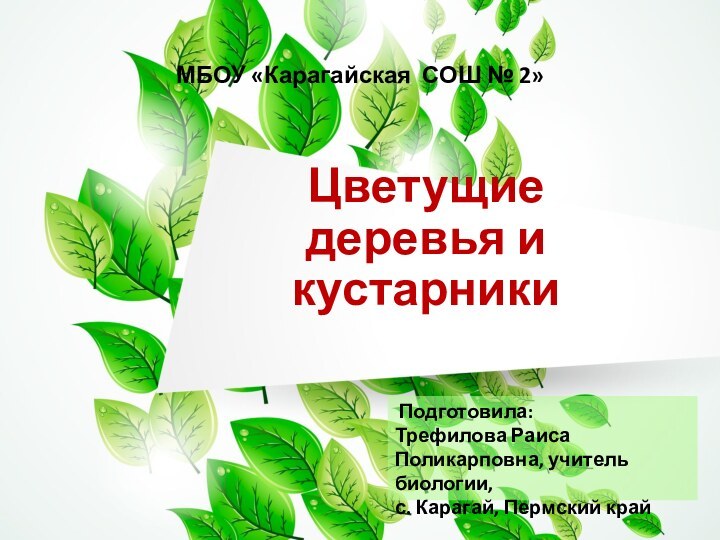 Цветущие  деревья и кустарники МБОУ «Карагайская СОШ № 2» Подготовила:Трефилова Раиса