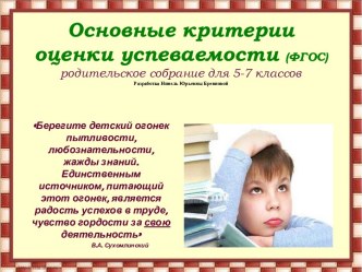 Основные критерии оценки успеваемости учащихся