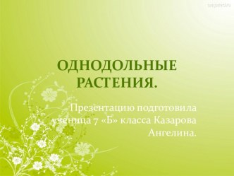 Однодольные растения