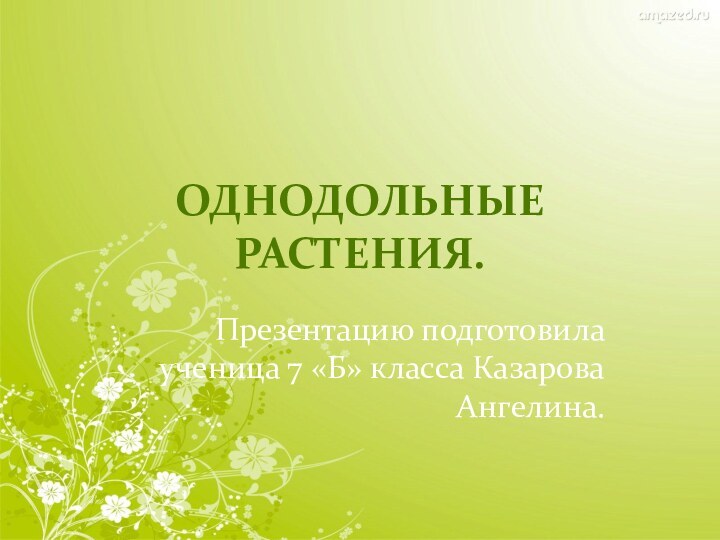 Однодольные растения.Презентацию подготовила ученица 7 «Б» класса Казарова Ангелина.