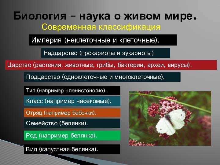 Биология – наука о живом мире.Современная классификацияИмперия (неклеточные и клеточные).Надцарство (прокариоты и