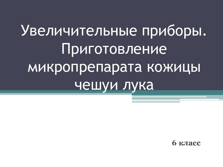 Увеличительные приборы. Приготовление микропрепарата кожицы чешуи лука6 класс