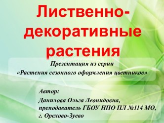 Презентация Лиственно-декоративные растения