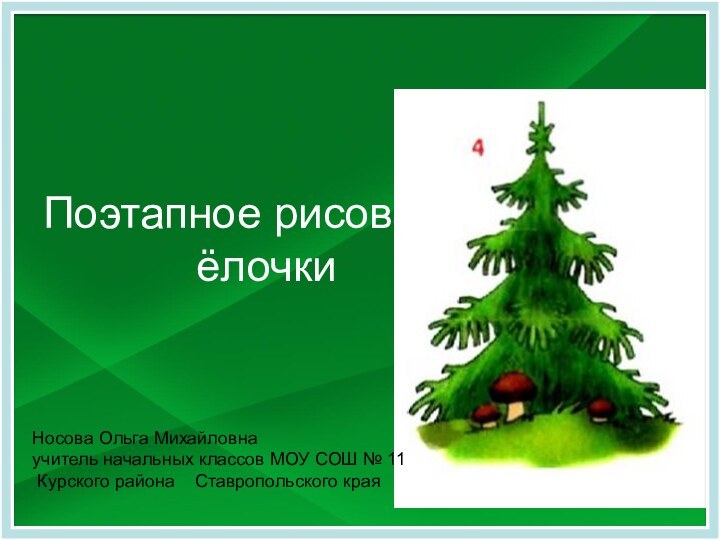 Поэтапное рисование ёлочкиНосова Ольга Михайловнаучитель начальных классов МОУ СОШ № 11 Курского района  Ставропольского края