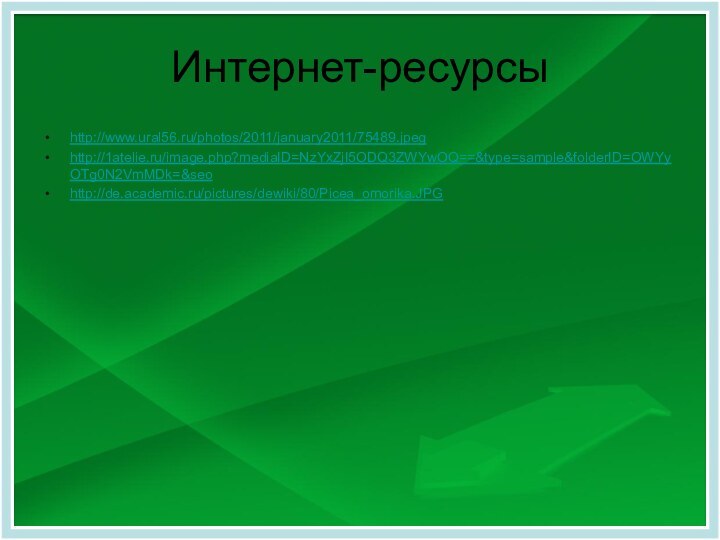 Интернет-ресурсыhttp://www.ural56.ru/photos/2011/january2011/75489.jpeghttp://1atelie.ru/image.php?mediaID=NzYxZjI5ODQ3ZWYwOQ==&type=sample&folderID=OWYyOTg0N2VmMDk=&seohttp://de.academic.ru/pictures/dewiki/80/Picea_omorika.JPG