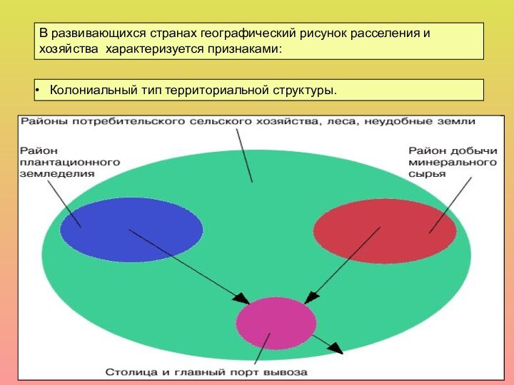 В развивающихся странах географический рисунок расселения и хозяйства характеризуется признаками:  Колониальный