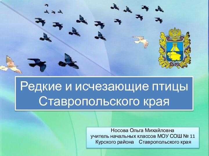 Редкие и исчезающие птицы  Ставропольского краяНосова Ольга Михайловнаучитель начальных классов МОУ