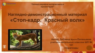 Наглядно-демонстрационный материал Стоп-кадр. Красный волк