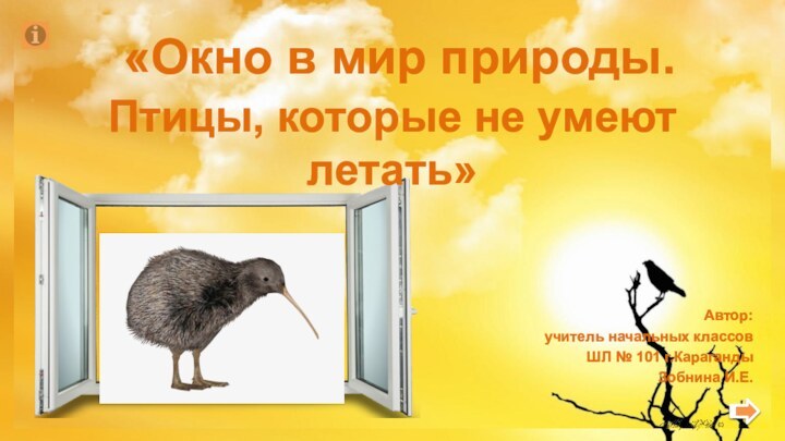 Автор: учитель начальных классовШЛ № 101 г.КарагандыЗобнина И.Е. «Окно в мир природы.Птицы, которые не умеют летать»