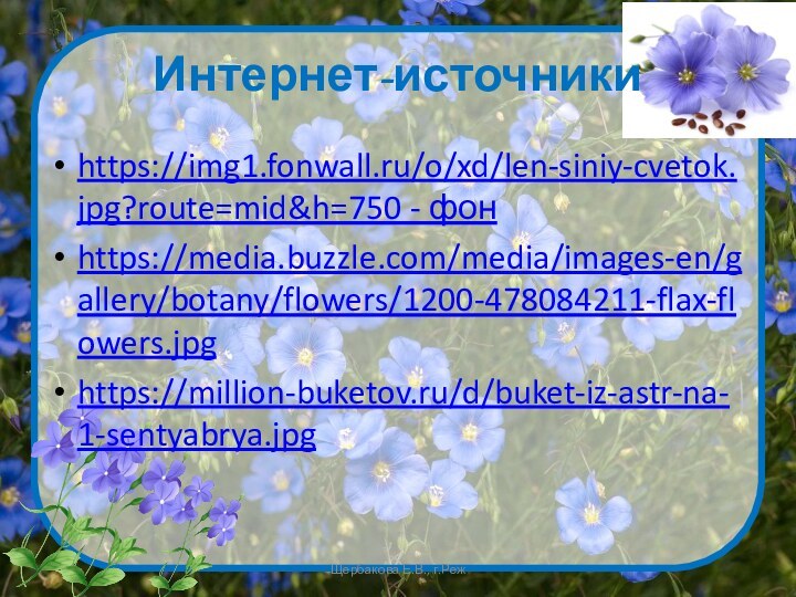 Интернет-источникиhttps://img1.fonwall.ru/o/xd/len-siniy-cvetok.jpg?route=mid&h=750 - фонhttps://media.buzzle.com/media/images-en/gallery/botany/flowers/1200-478084211-flax-flowers.jpghttps://million-buketov.ru/d/buket-iz-astr-na-1-sentyabrya.jpgЩербакова Е.В., г.Реж