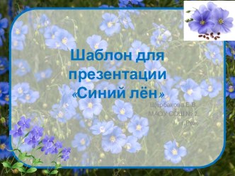 Шаблоны для создания презентаций Синий лён