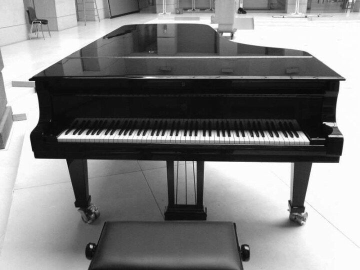 История фортепианоЛично у меня, — подал голос знаменитый инструмент по имени Фортепиано, —