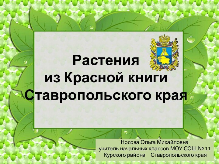 Растения  из Красной книги  Ставропольского краяНосова Ольга Михайловнаучитель начальных классов