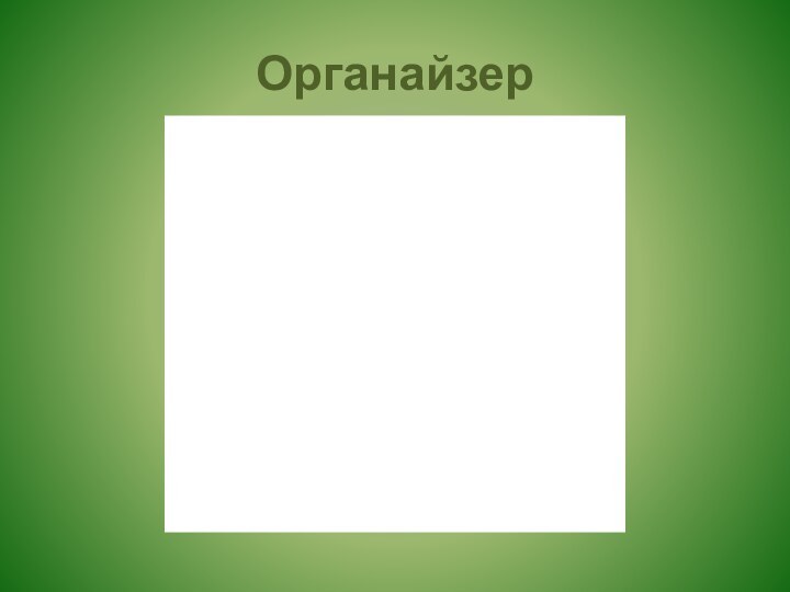 Органайзер