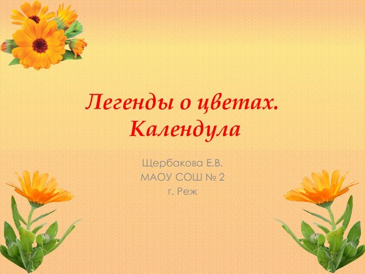 Легенды о цветах.  Календула Щербакова Е.В.МАОУ СОШ № 2г. Реж