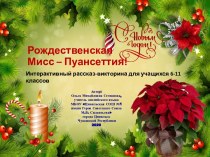 Презентация Рождественская Мисс - Пуансеттия!