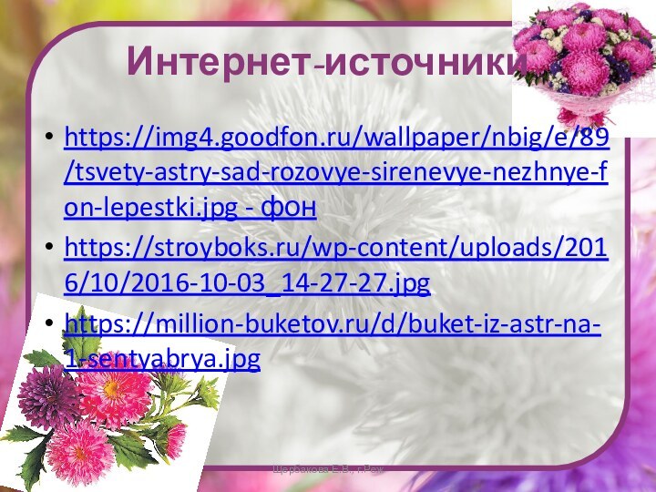 Интернет-источникиhttps://img4.goodfon.ru/wallpaper/nbig/e/89/tsvety-astry-sad-rozovye-sirenevye-nezhnye-fon-lepestki.jpg - фонhttps://stroyboks.ru/wp-content/uploads/2016/10/2016-10-03_14-27-27.jpghttps://million-buketov.ru/d/buket-iz-astr-na-1-sentyabrya.jpgЩербакова Е.В., г.Реж