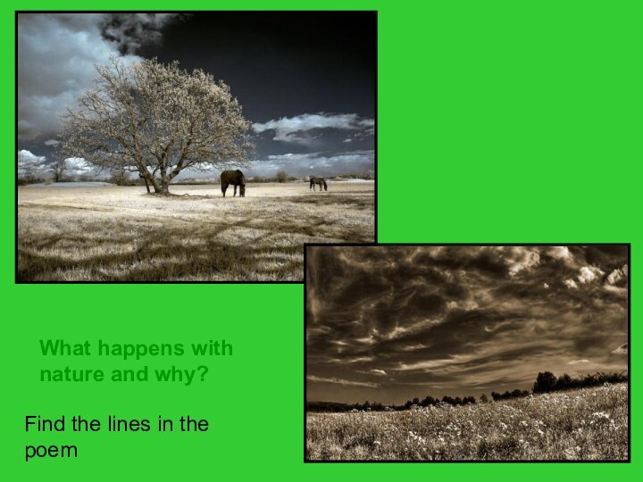 What happens with nature and why?Find the lines in the poem