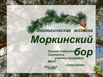 Экологическая мозаика Моркинский бор